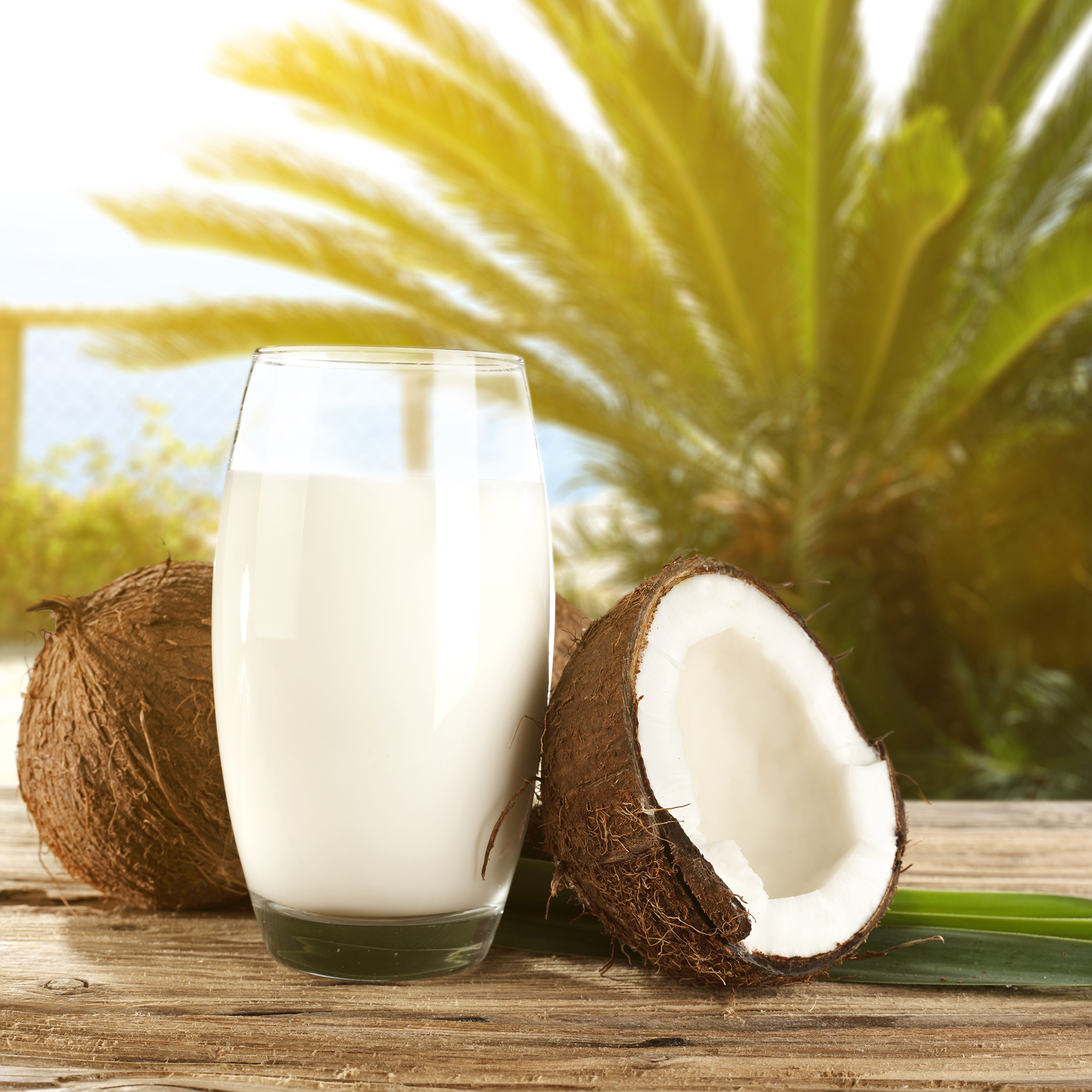 v1-vanilla-coconut-paradise-smoothie